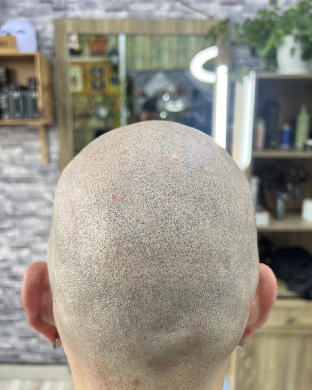 Una cabeza ya micropigmentada, vista desde arriba, con las
               estanterías y el espejo de una barbería al fondo